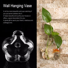 Load image into Gallery viewer, 2 types Plum Blossom Shaped Transparent Wall Hanging Vase /Hydroponic Container/ Plant Flower Glass Bottle/