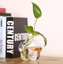 Load image into Gallery viewer, 2 types Plum Blossom Shaped Transparent Wall Hanging Vase /Hydroponic Container/ Plant Flower Glass Bottle/