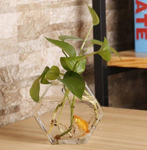 Load image into Gallery viewer, 2 types Plum Blossom Shaped Transparent Wall Hanging Vase /Hydroponic Container/ Plant Flower Glass Bottle/