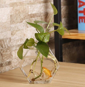 2 types Plum Blossom Shaped Transparent Wall Hanging Vase /Hydroponic Container/ Plant Flower Glass Bottle/
