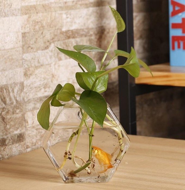 2 types Plum Blossom Shaped Transparent Wall Hanging Vase /Hydroponic Container/ Plant Flower Glass Bottle/